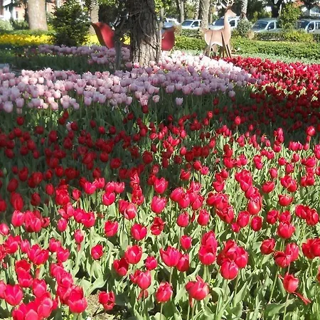 Grand Horizon アランヤ